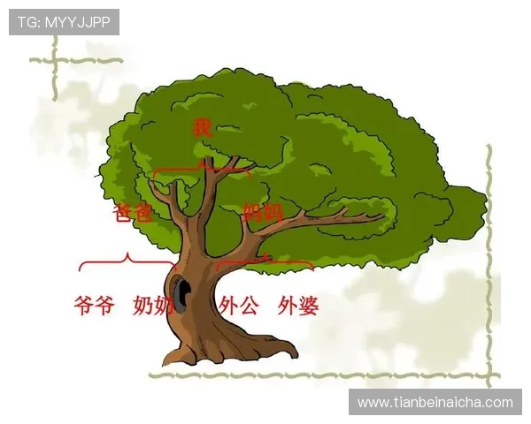 外公的秘密揭开了家庭深藏的往事与命运的交错纷争