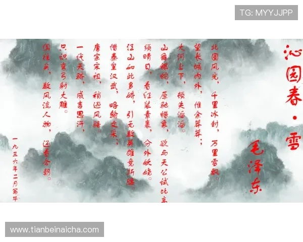 循着风月掠影片段探寻情感沉浮与世事交织的动人故事长卷