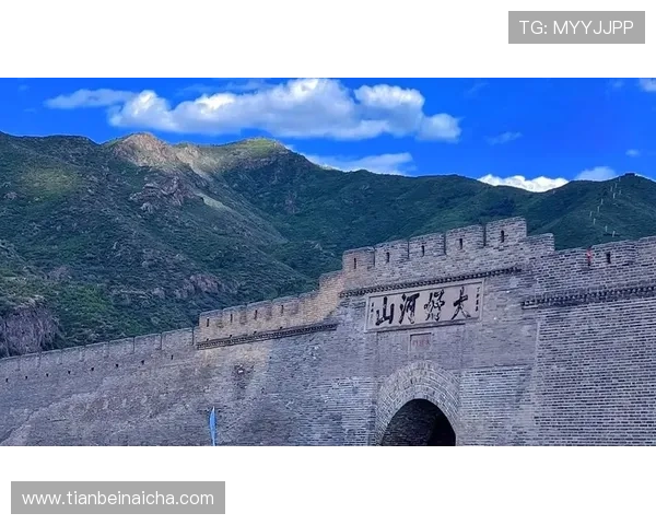 小泽木有风:轻声细语,藏尽山河万里